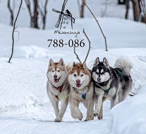 Гостевой дом Melnitsa Inn Мурманск-69